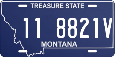 MT license plate 118821V