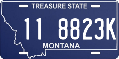MT license plate 118823K