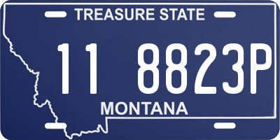 MT license plate 118823P