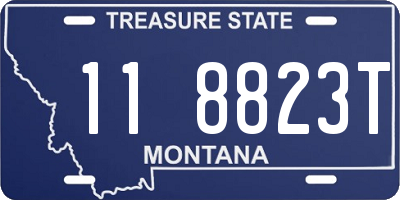 MT license plate 118823T