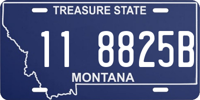 MT license plate 118825B