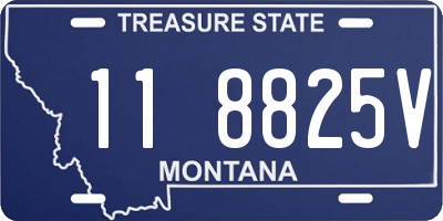 MT license plate 118825V