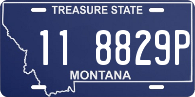 MT license plate 118829P