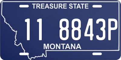 MT license plate 118843P