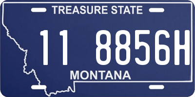 MT license plate 118856H