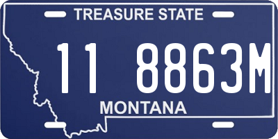 MT license plate 118863M