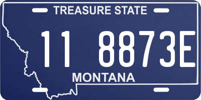 MT license plate 118873E