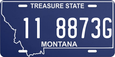 MT license plate 118873G