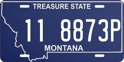 MT license plate 118873P