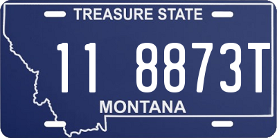 MT license plate 118873T