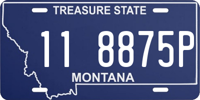 MT license plate 118875P