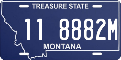 MT license plate 118882M