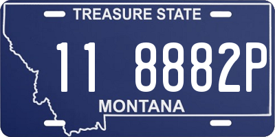 MT license plate 118882P