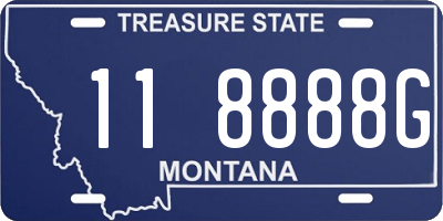 MT license plate 118888G