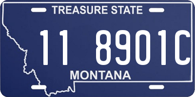 MT license plate 118901C