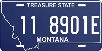 MT license plate 118901E