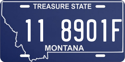 MT license plate 118901F