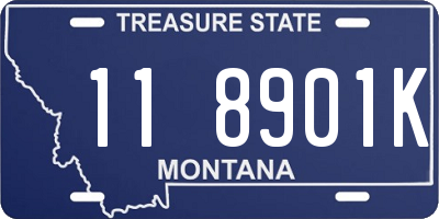 MT license plate 118901K