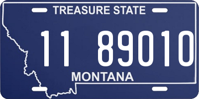 MT license plate 118901O