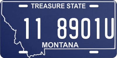 MT license plate 118901U