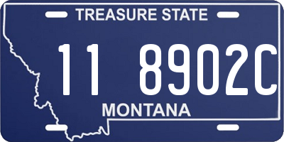MT license plate 118902C