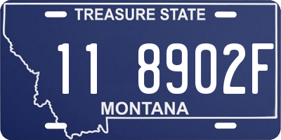 MT license plate 118902F