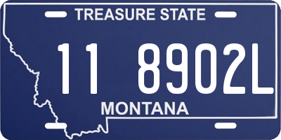 MT license plate 118902L
