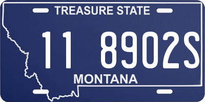 MT license plate 118902S