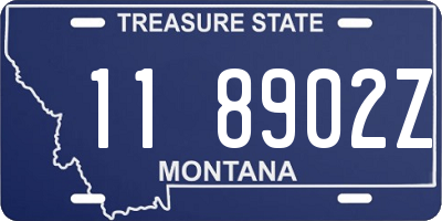 MT license plate 118902Z