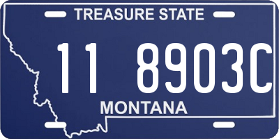 MT license plate 118903C