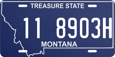 MT license plate 118903H