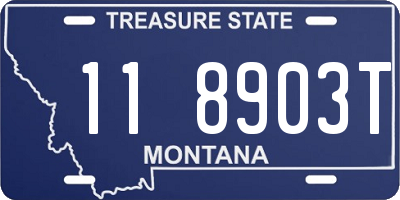 MT license plate 118903T