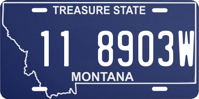 MT license plate 118903W