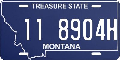 MT license plate 118904H