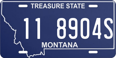 MT license plate 118904S