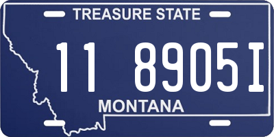 MT license plate 118905I