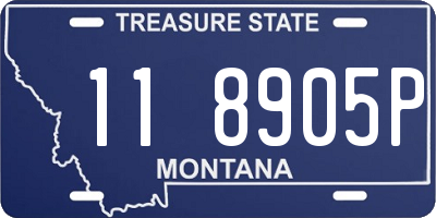 MT license plate 118905P
