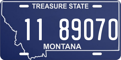 MT license plate 118907O