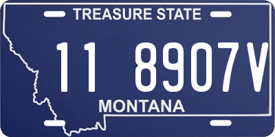 MT license plate 118907V