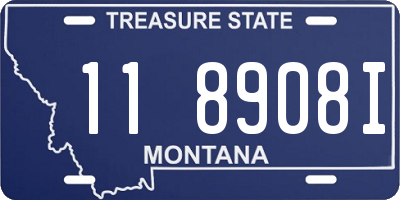 MT license plate 118908I