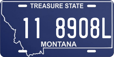 MT license plate 118908L