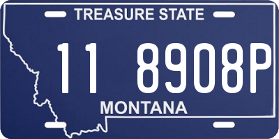MT license plate 118908P