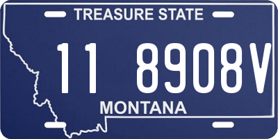 MT license plate 118908V