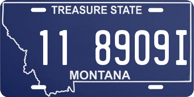 MT license plate 118909I