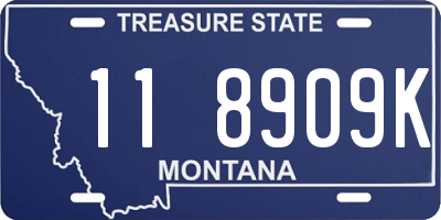 MT license plate 118909K