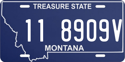 MT license plate 118909V