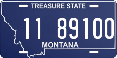 MT license plate 118910O