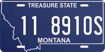 MT license plate 118910S