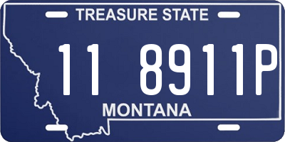 MT license plate 118911P