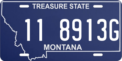 MT license plate 118913G